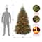 6.5 ft. Pre-Lit Dunhill® Fir Full Artificial Christmas Tree, Multicolor Lights